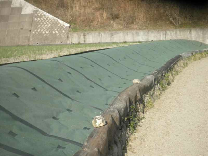 とことん草なしシートへの使用事例です。